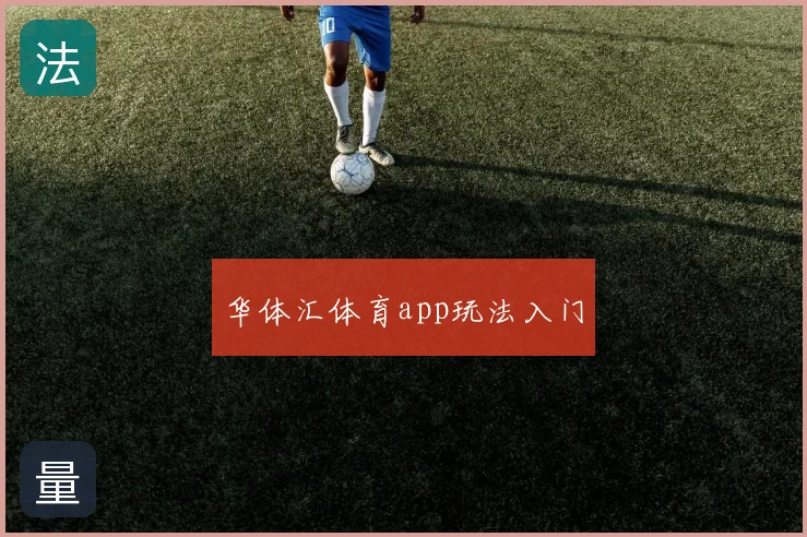 华体汇体育app玩法入门